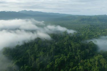 Similar image 22087447