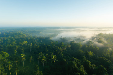 Similar image 22087450