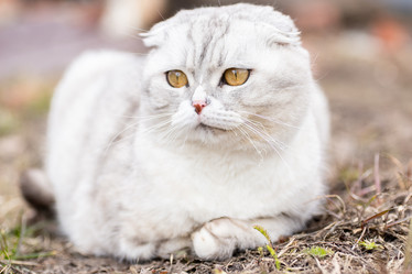 Similar image 22060590