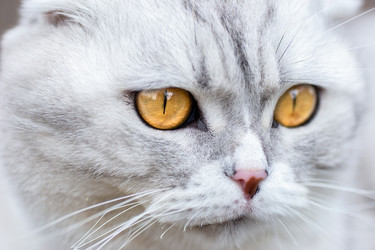 Similar image 22060594