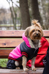 Similar image 22060598