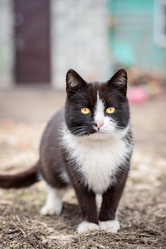 Similar image 22060603