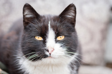 Similar image 22060616