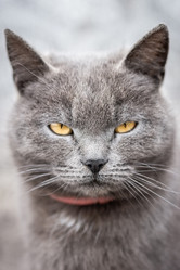 Similar image 22060623