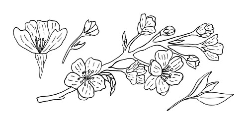 Similar image 22058685