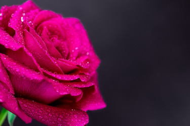 Similar image 22060287