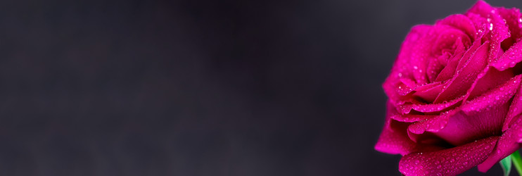 Similar image 22060289