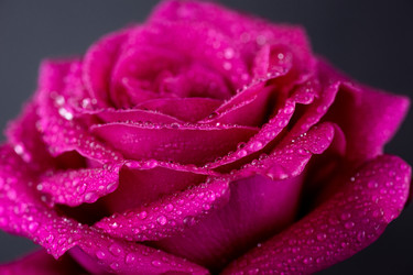 Similar image 22060294