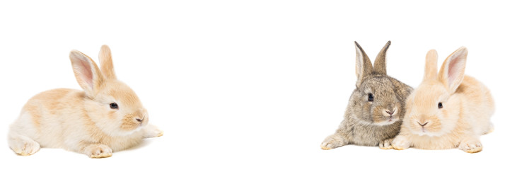 Similar image 22060298