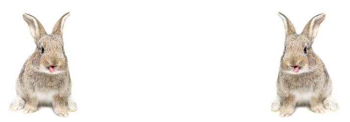 Similar image 22060300