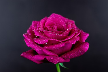 Similar image 22060627