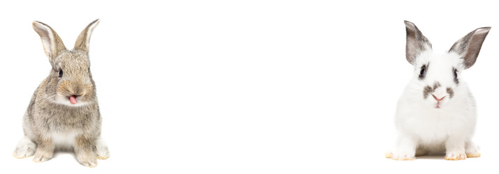 Similar image 22060628