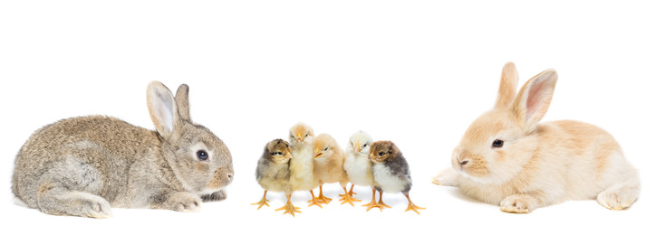 Similar image 22060630