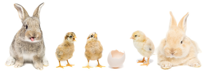 Similar image 22060632