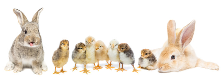 Similar image 22060634