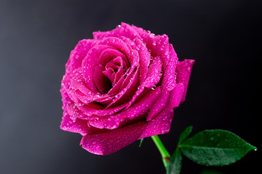 Similar image 22060635