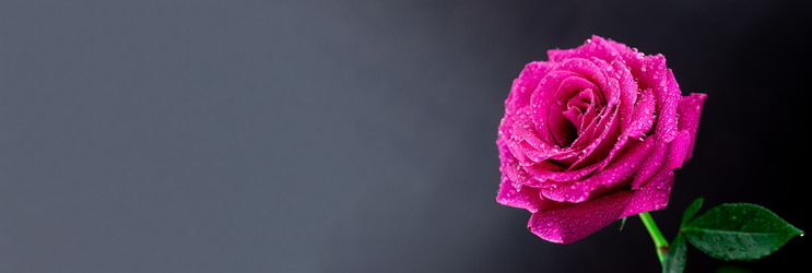 Similar image 22060639