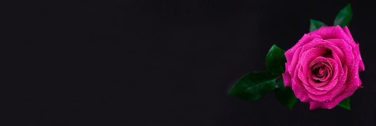 Similar image 22060655