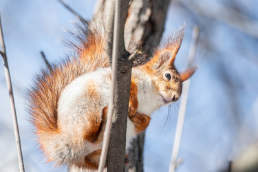 Similar image 22060659