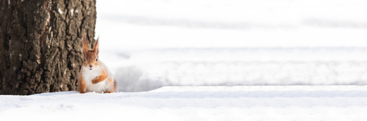 Similar image 22060660