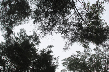 Similar image 22081028