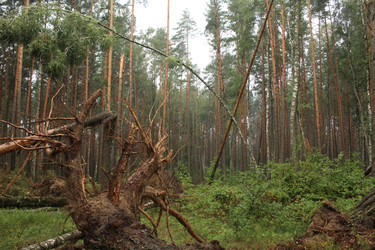 Similar image 22081029