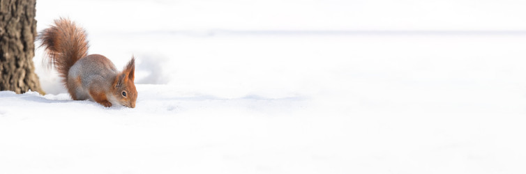 Similar image 22060668