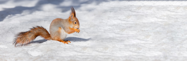 Similar image 22060672