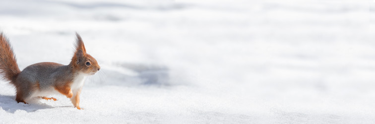 Similar image 22060678