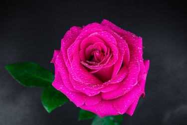 Similar image 22060891