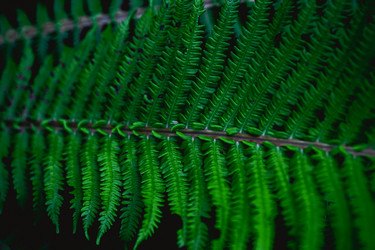 Similar image 22058693