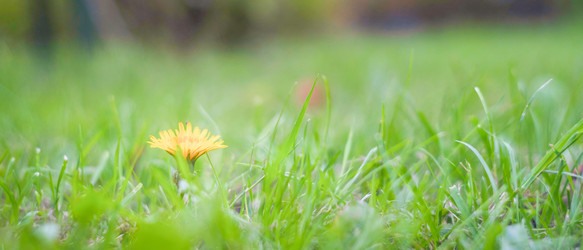 Similar image 22058694