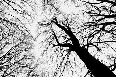 Similar image 22058696