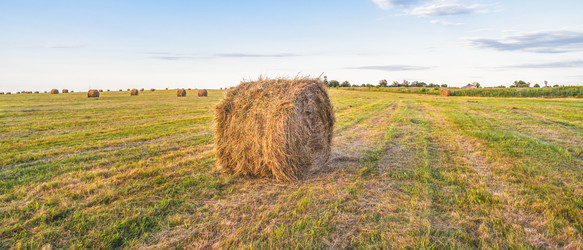 Similar image 22058697