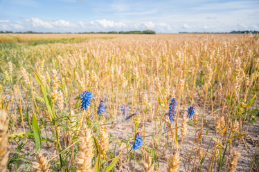 Similar image 22058698