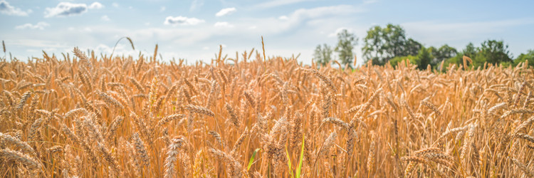 Similar image 22058699