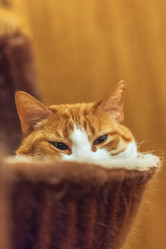 Similar image 22058701