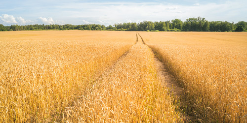 Similar image 22058702