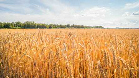 Similar image 22058703