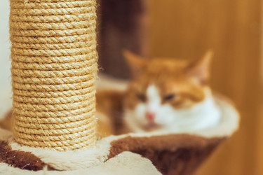 Similar image 22058704