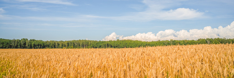 Similar image 22058705