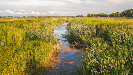 Similar image 22058706