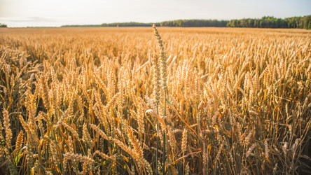 Similar image 22058709