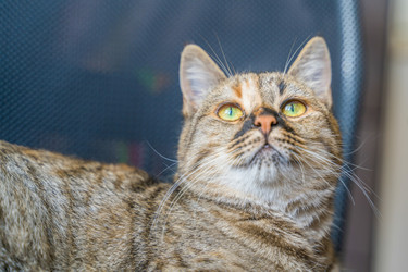 Similar image 22058713