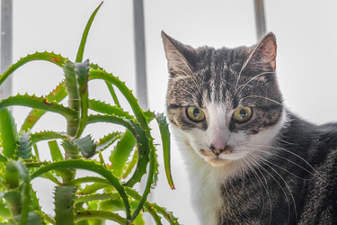 Similar image 22058714