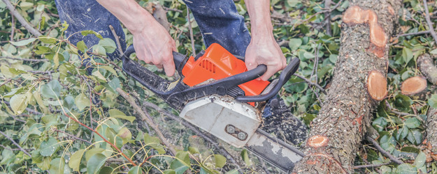 Similar image 22058717