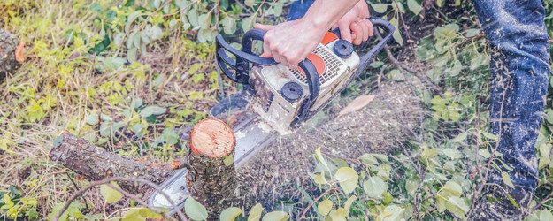 Similar image 22058720