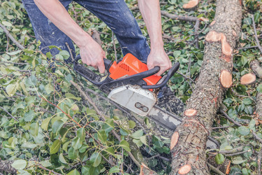 Similar image 22058724