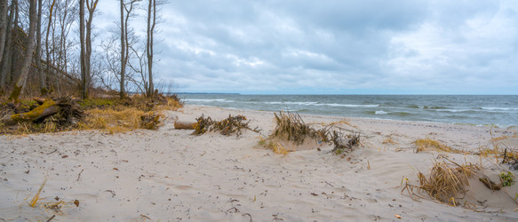 Similar image 22058725