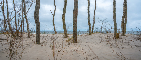 Similar image 22058726